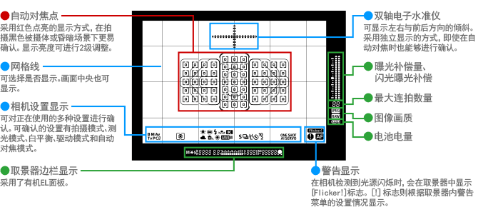 EOS 7D Mark II 上的水准仪